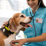 fonendoscopio veterinario